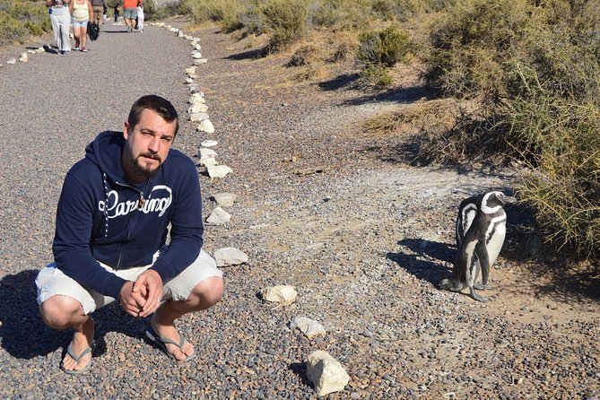 Punta Tombo Tour, the Penguin Experience - Wildlife Encounters