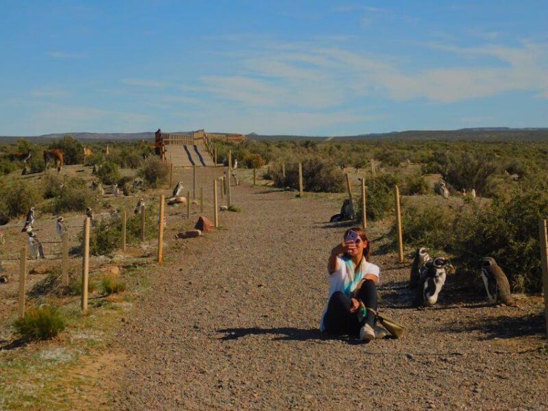 Punta Tombo With Puerto Madryn Shore Excursions Tours - Itinerary Details