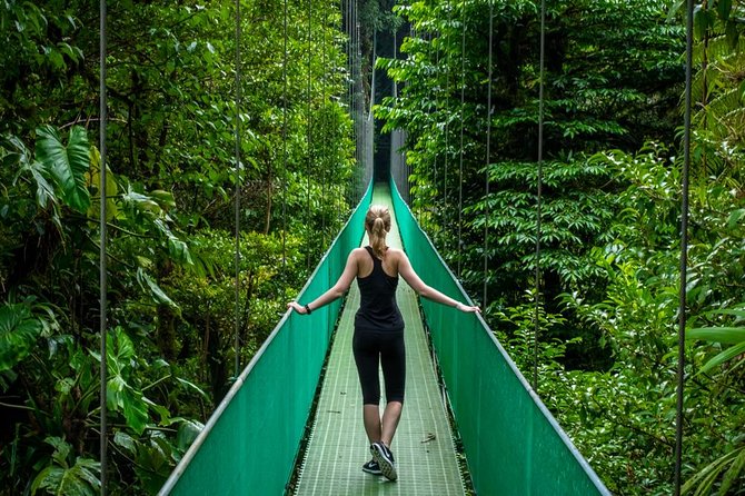 Puntarenas Shore Excursion: Rainforest Hanging Bridges, Skywalk Tour & Boat Tour - Rainforest Hanging Bridges
