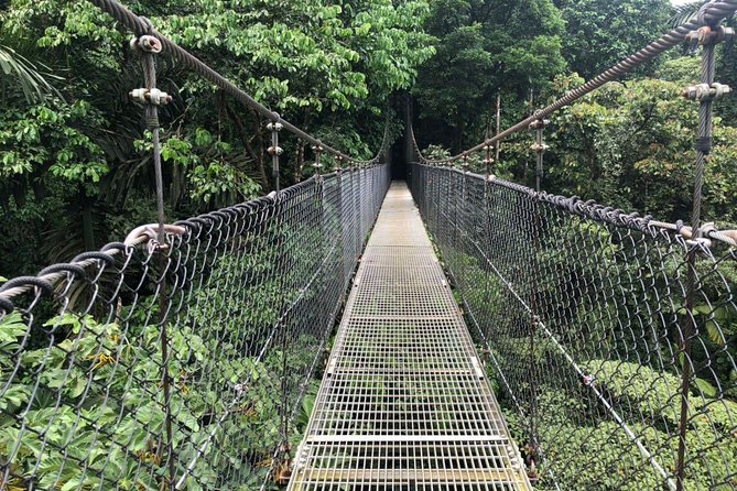 Puntarenas Shore Excursion: Rainforest Hanging Bridges, Skywalk Tour & Boat Tour - Boat Tour