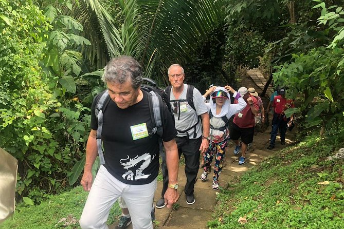 Puntarenas Shore Excursion: Rainforest Hanging Bridges, Skywalk Tour & Boat Tour - Health and Safety