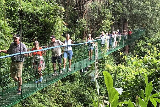 Puntarenas Shore Excursion: Rainforest Skywalk & Tarcoles River Eco Cruise - Itinerary and Activities