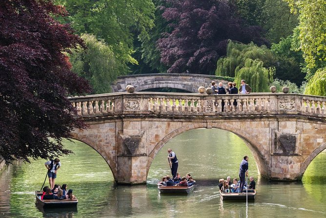 Punting Tour in Cambridge - Sights and Commentary