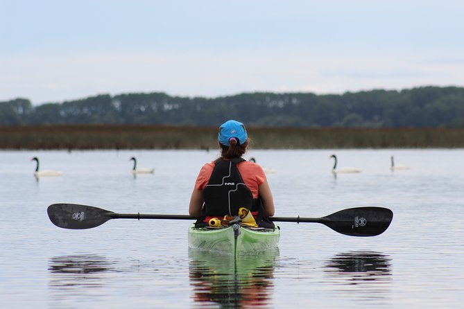 Punucapa Nature Sanctuary, Wetlands, Biodiversity and Culture - Key Points