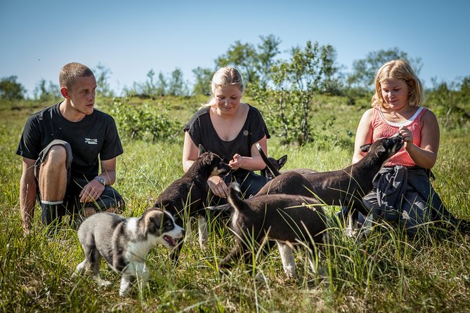 Puppy Training Experience at a Husky Farm in Tromso - Amenities and Inclusions