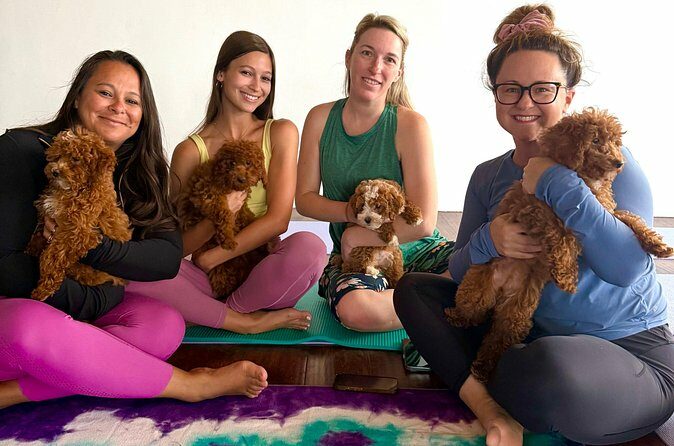 Puppy Yoga Private Groups - FAQ
