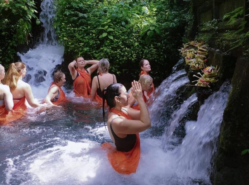 Pura Mangening: Water Temple Tour With Spiritual Cleansing - Inclusions and Add-ons