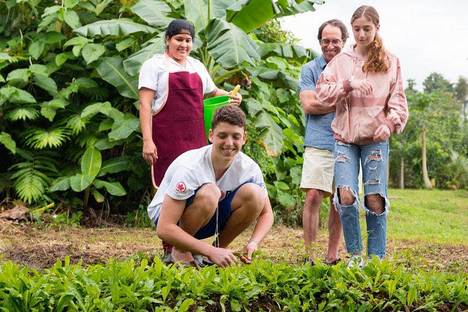 Pura Vida Cooking Class in La Fortuna (From Farm to Table) - Maximum Participants and Accessibility