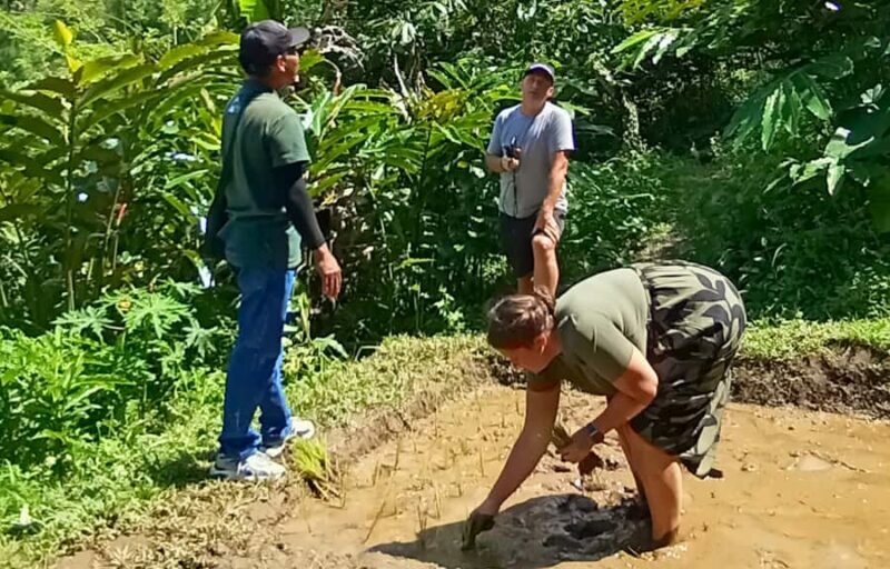 Pure Bali Village Experience Cooking & Jamu Class, Transfer - Key Points