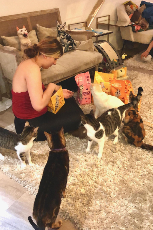 PURE HAPPINESS: A PURR-FECT CAT EXPERIENCE ! - Therapeutic Benefits