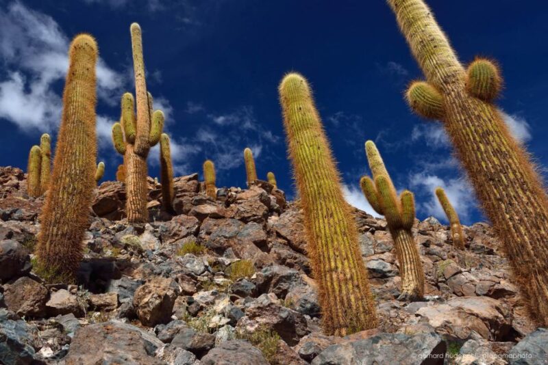 Purilibre Trekking - Itinerary Details