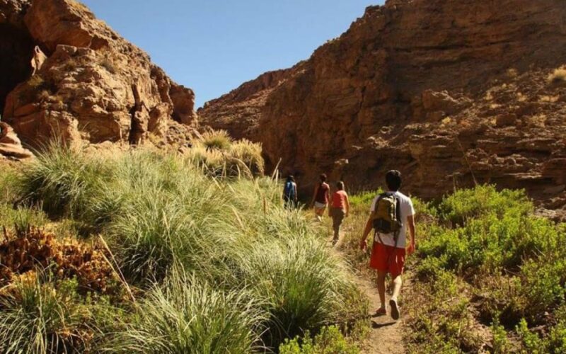 Purilibre: Trekking With Ancient Cacti and Medicinal Waters - Tour Experience