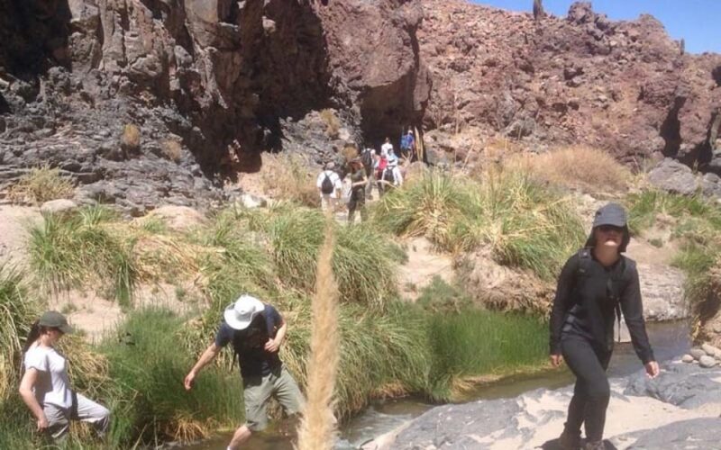 Purilibre: Trekking With Ancient Cacti and Medicinal Waters - Participant Requirements