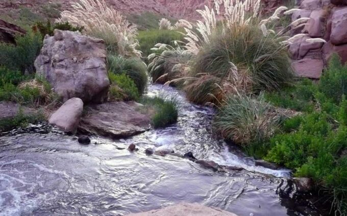 Purilibre: Trekking With Ancient Cacti and Medicinal Waters - Frequently Asked Questions