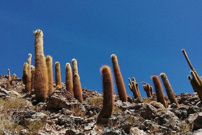 Puritama Canyon and Guatin Trekking - Expectations and Reviews