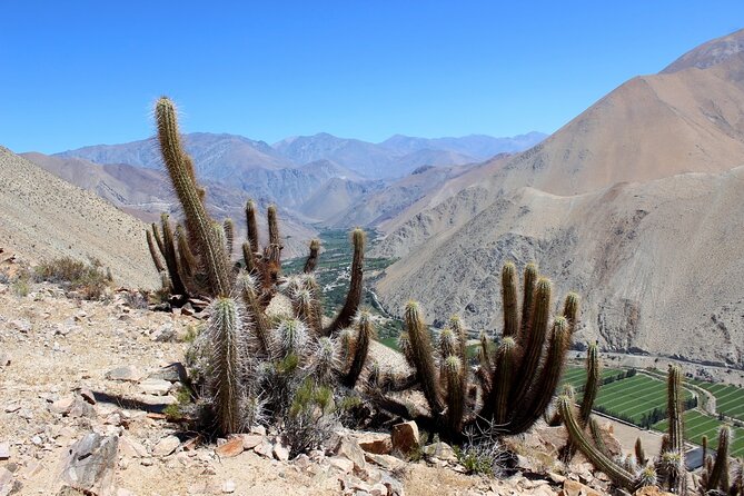 Puritama Canyon and Guatin Trekking - Exploring Puritama Canyon