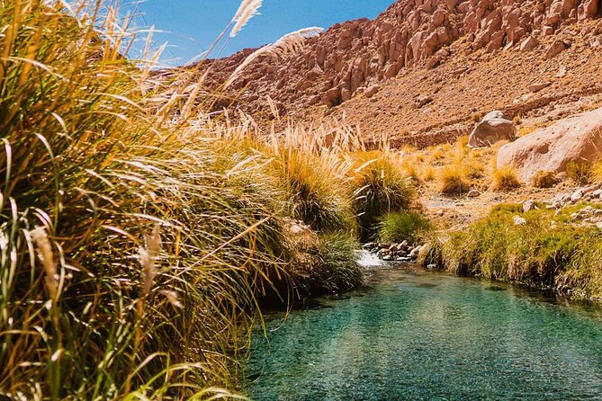 Puritama Hot Springs Tour With Tickets - Inclusions