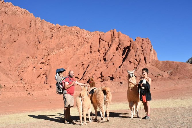 Purmamarca Walk With Llamas - Unique Llama Walking Experience