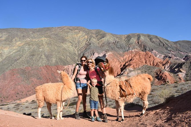 Purmamarca Walk With Llamas - Unparalleled Review Ratings