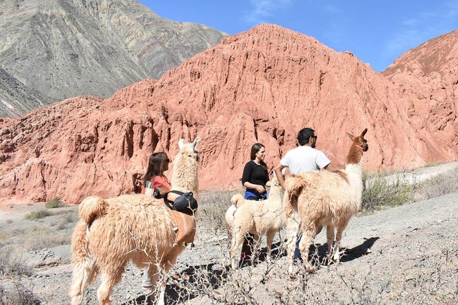 Purmamarca Walk With Llamas - Knowledgeable and Friendly Guides