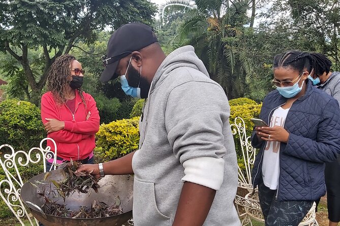 Purple Tea Farm Tour From Nairobi City - Specialty Tea Tasting - Transportation and Meals