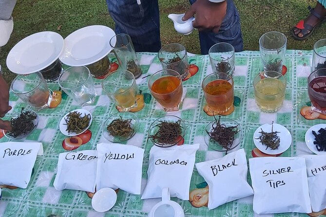 Purple Tea Farm Tour From Nairobi City - Specialty Tea Tasting - Accessibility and Restrictions