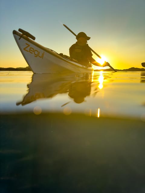 Purpose Paddling Midnight Kayak Tour - Itinerary and Experience