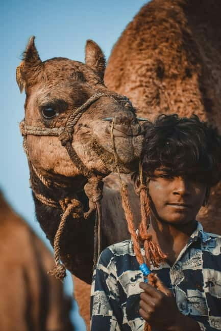 Pushkar: Camel Sunset Safari Adventure - Final Thoughts