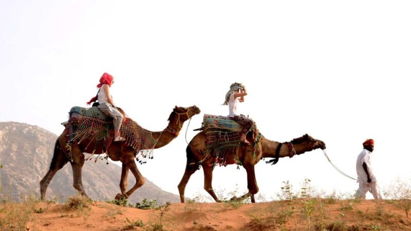 Pushkar Day Trip With Camel Safari From Jaipur by Car. - Itinerary and Highlights
