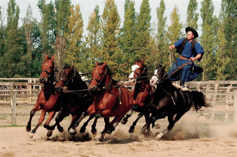 Puszta Full-Day Tour From Budapest With Lunch - Itinerary Details
