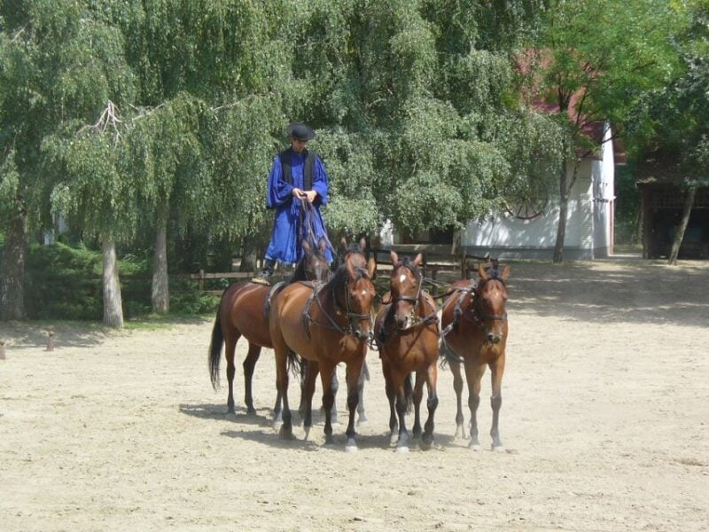 Puszta Full-Day Tour From Budapest With Lunch - Participant Information