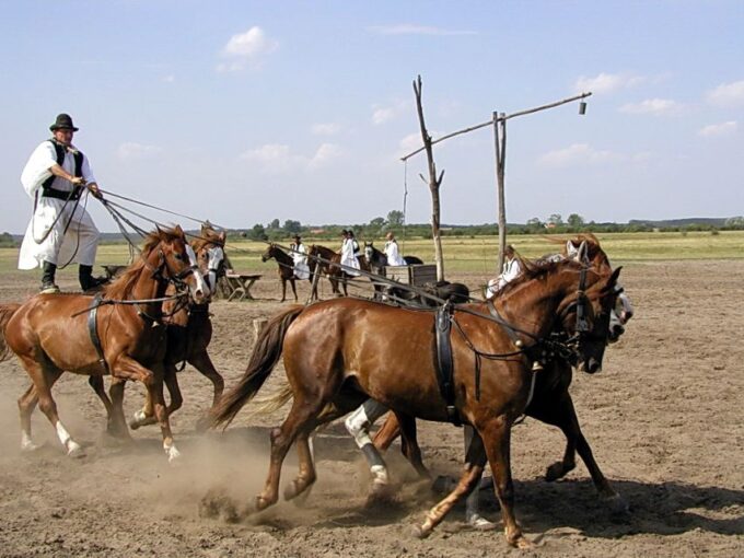 Puszta Full-Day Tour From Budapest With Lunch - Transportation and Meals