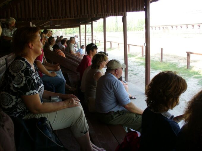 Puszta Full-Day Tour From Budapest With Lunch - Activities and Experiences