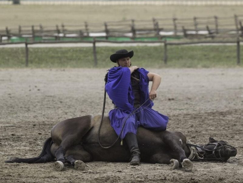 Puszta Tour and Horse Show - Tour Inclusions