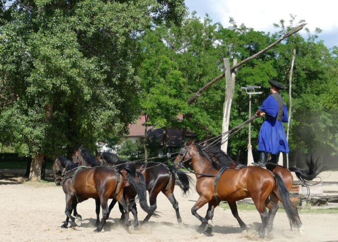 Puszta Tour and Horse Show - Carriage Ride in Puszta