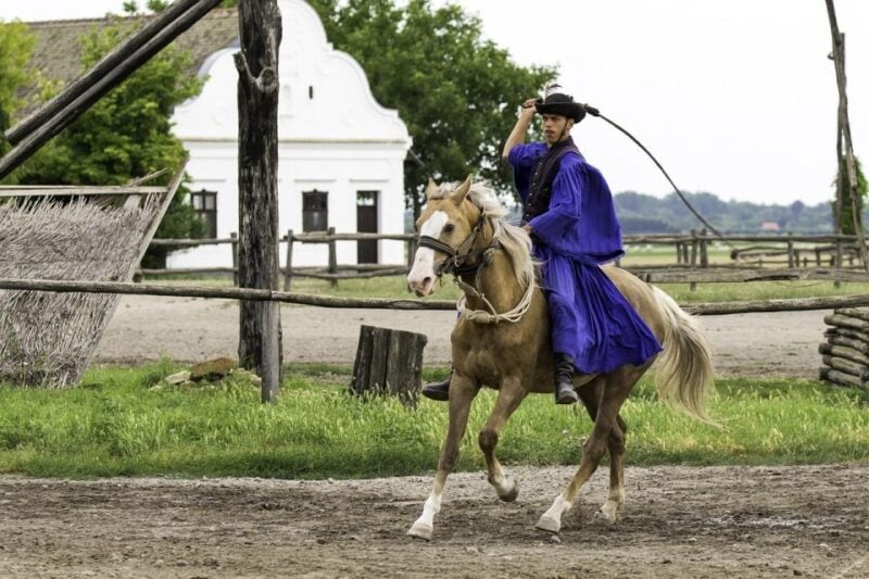 Puszta Tour and Horse Show - Frequently Asked Questions