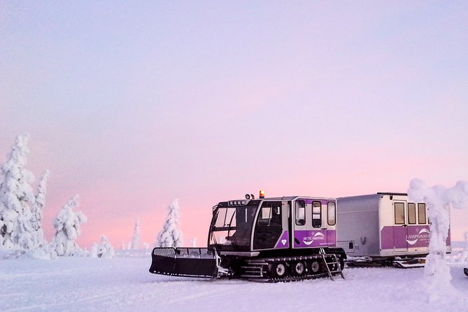Pyhä-Luosto National Park and Amethyst Mine by Car From Inari-Saariselkä - Accessibility and Languages