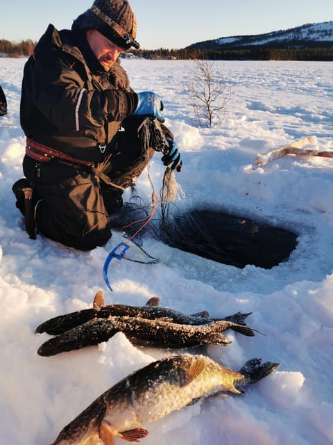 Pyhaäntunturi: Winter Fishing With Local Fisherman - Savoring the Catch