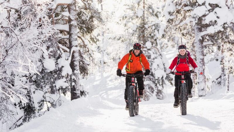 Pyhätunturi: Electric Fatbike Tour in Finnish Lapland - Fatbike Features and Benefits