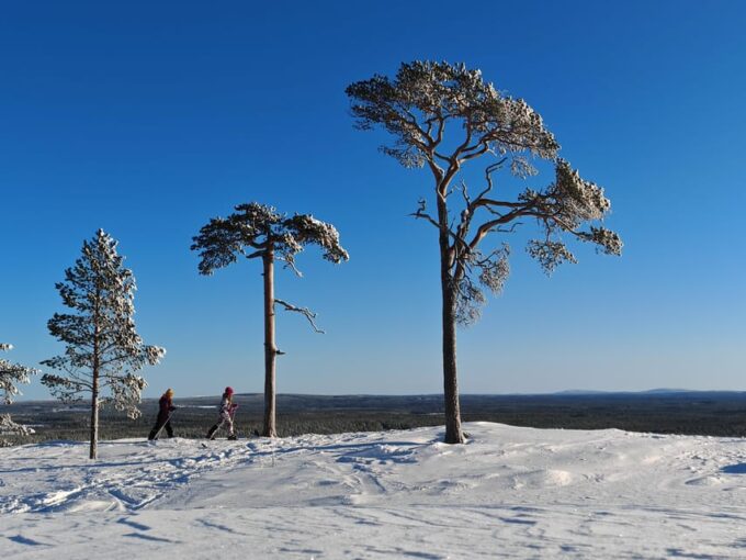 Pyhätunturi: Try Wilderness Skiing in Finnish Lapland - Why Visit Pyhätunturi