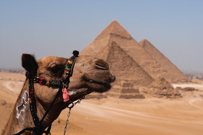 Pyramids and Egyptian Museum - Cairo Tour - Private Transportation