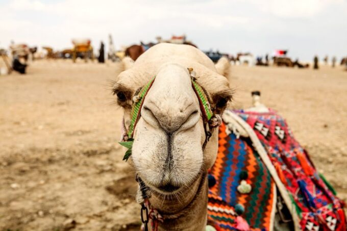 Pyramids of Giza and Great Sphinx: Private Half-Day Tour - Valley Temple Exploration