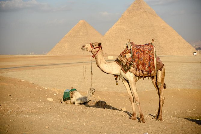 Pyramids, Sphinx & Tourist Bazaar Tour From Cairo Airport - Meeting and Pickup