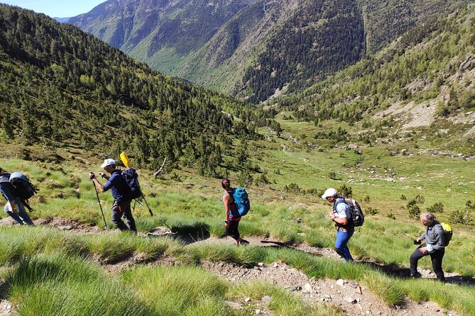 Pyrenees Hiking Experience From Barcelona. Small Group Tour - Tour Overview
