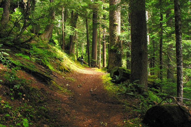 Pyrenees Hiking Experience From Barcelona. Small Group Tour - Logistics