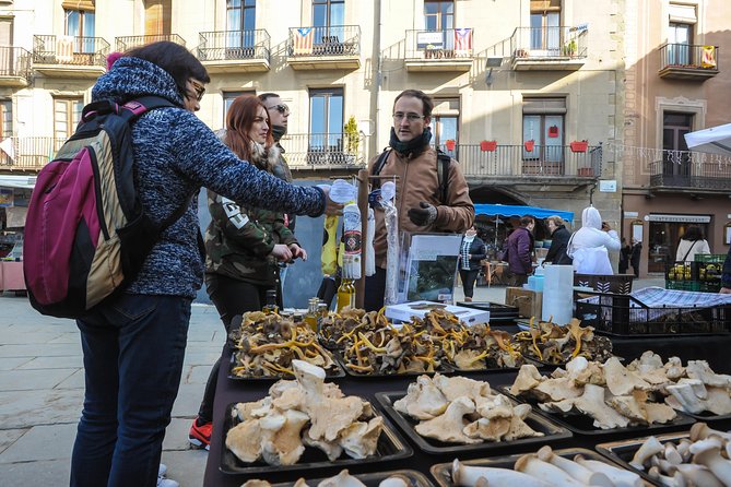 Pyrenees & Medieval Towns Small Group Tour From Barcelona - Itinerary: Montseny Natural Park