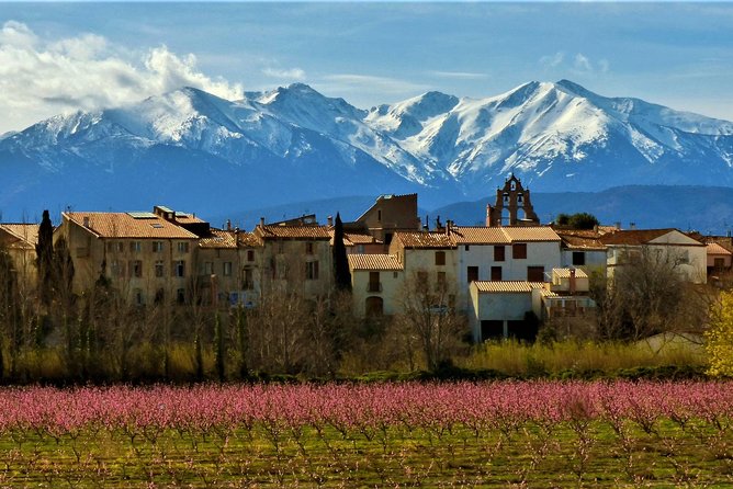 Pyrenees Private Tour From Barcelona With Easy Hike & Cogwheel Train - Inclusions and Amenities