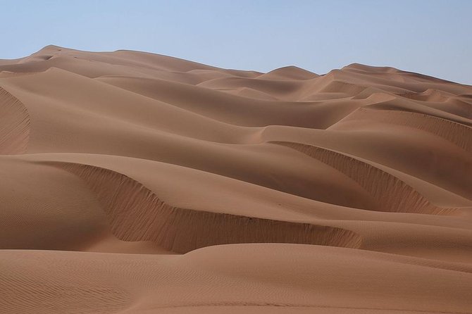 Qatar Desert Safari Adventure Experience . - Tour Details