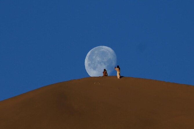 Qatar Desert Safari, Dune Bashing (Private Safari Tour) - Suitability and Accessibility