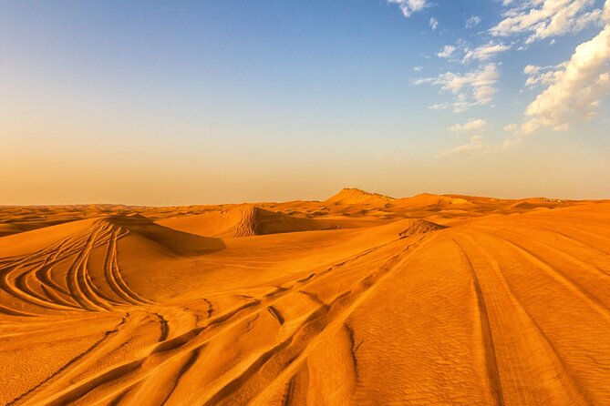 Qatar Dune Buggy Private Experience - Cost and Booking